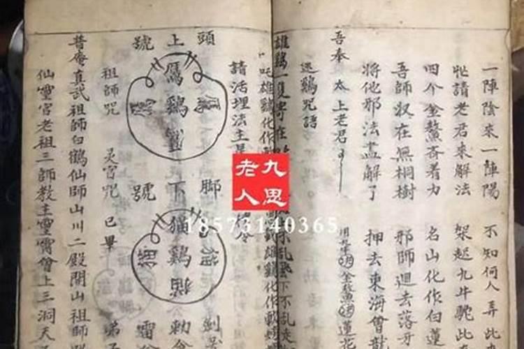 属蛇未来5年运势走向未来10年运势如何？