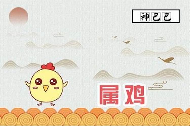 生肖属鸡人的性格和脾气介绍