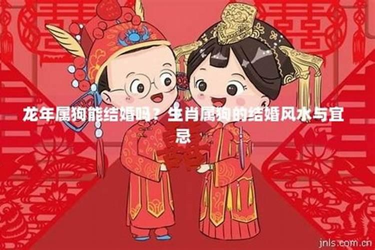 算婚姻:属龙男和属狗女八字相合吗 婚姻好吗