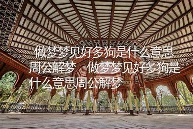 梦到很多狗是什么意思 梦到很多狗的寓意
