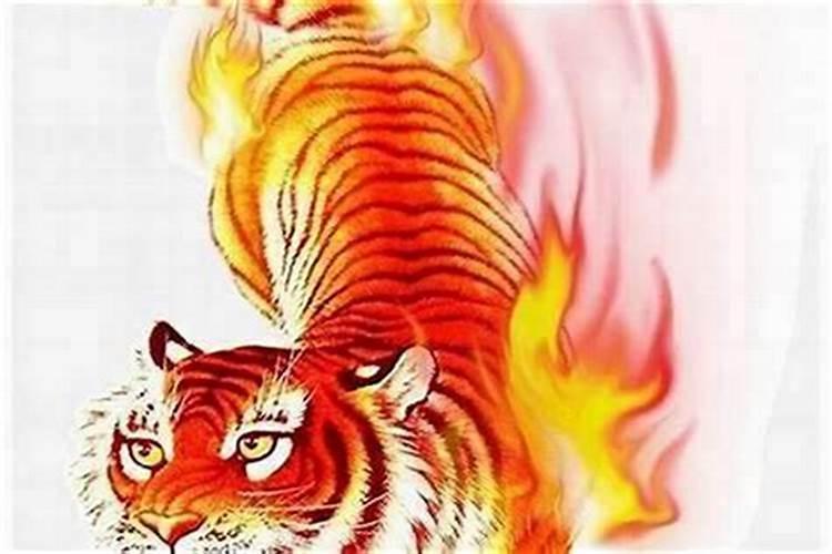1998年7月14日15:30出生属虎的女孩的运程