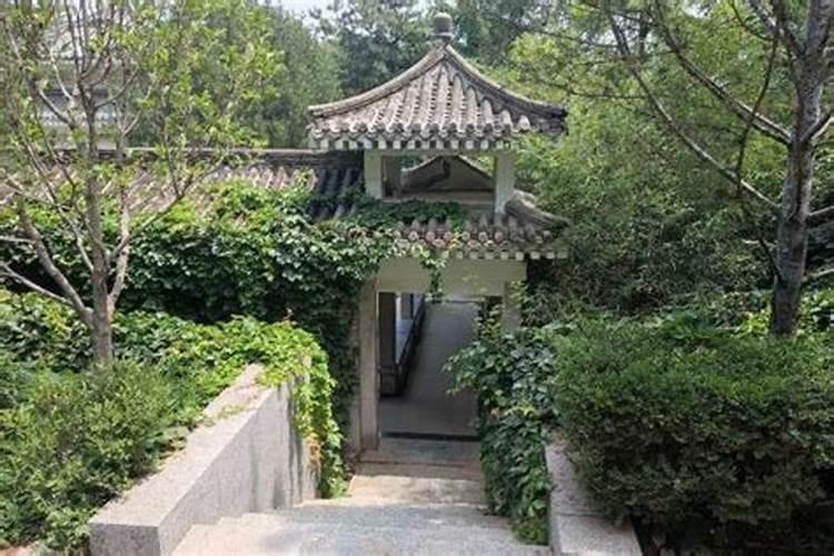 八字命盘 童子命的劫难是什么