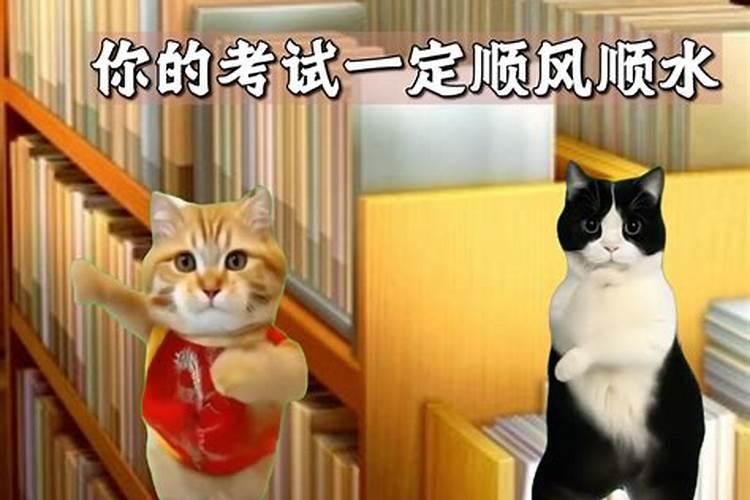 两个属猴的人结婚好吗 两个属猴的人在一起合适吗