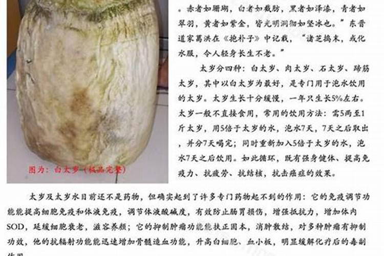 99重阳节是什么日子