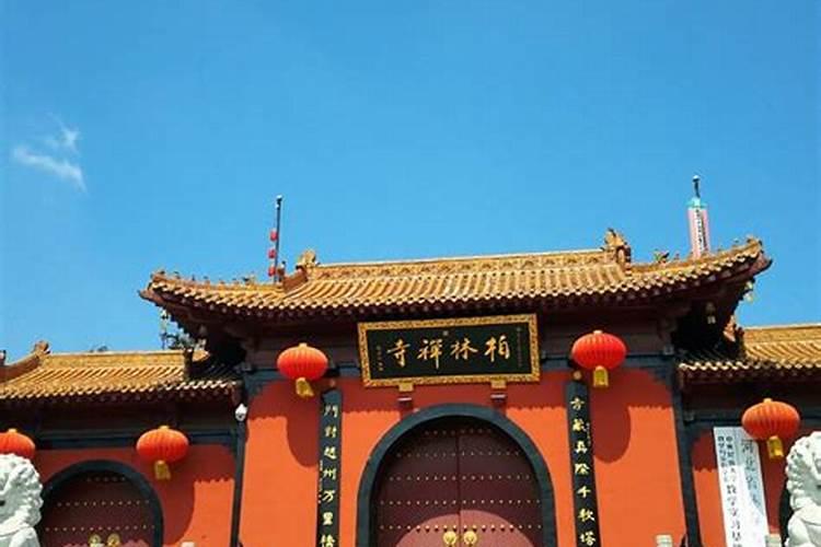 属马的放什么摆件可防小人