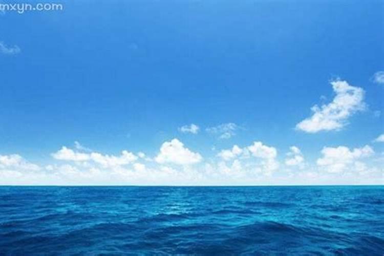 梦见大海里面不停跳跃的海豚