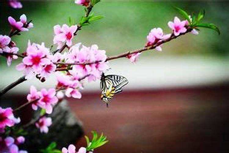 六煞是什么意思