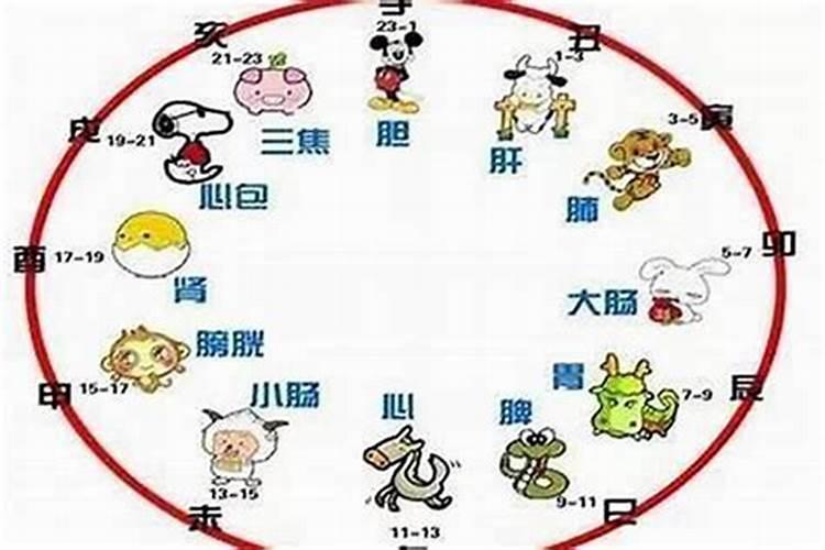 出生时辰婚配时辰,92年属猴的属相婚配表