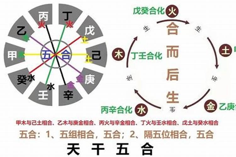 日干支相合是天定的姻缘 八字合婚原则？