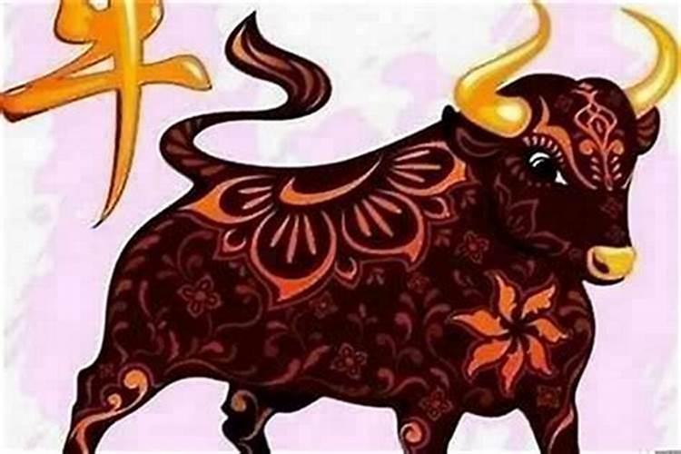 属牛的本命年佩戴什么吉祥物本命年怎么转运