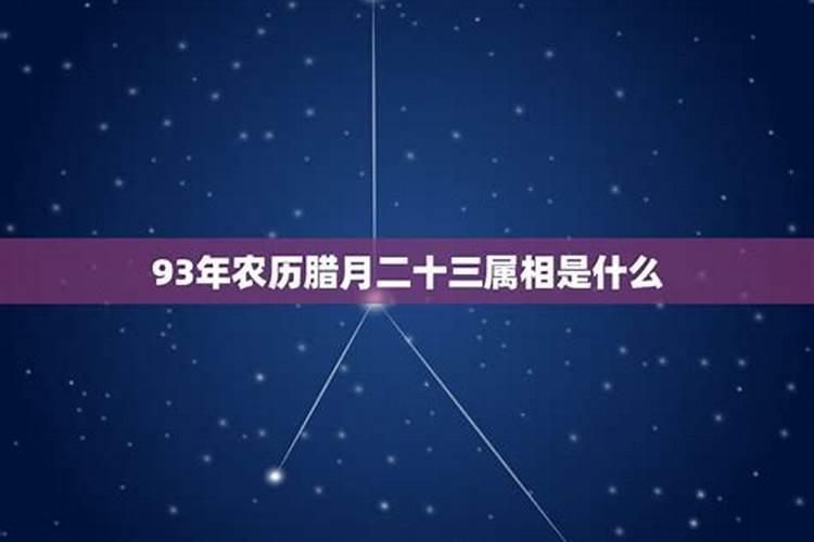 农历93年腊月十八阳历94年1月29号属相是什么？
