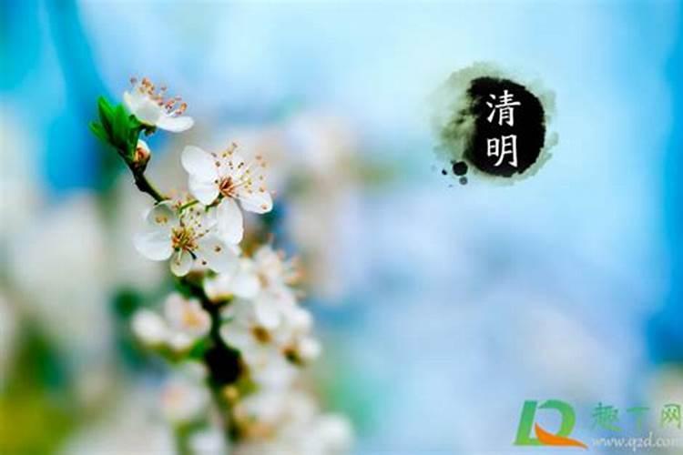 小学生清明扫墓看图写话怎么写