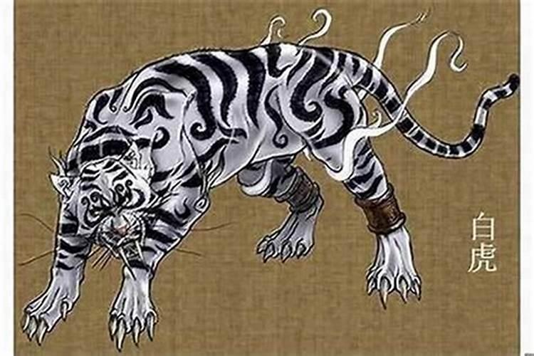 虎年犯太岁生肖是什么？