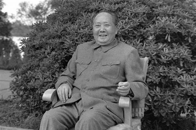 2025属猪人全年运势及运程