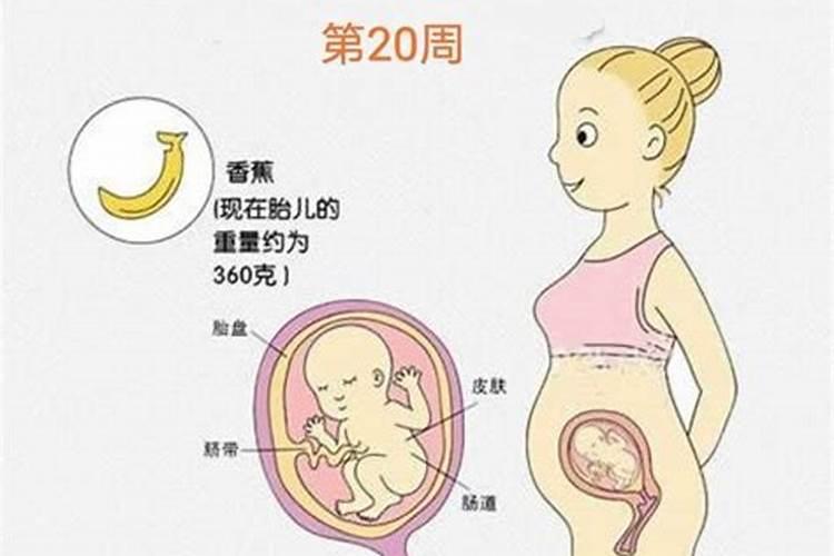 八字大运详细讲解,周易八字免费测算