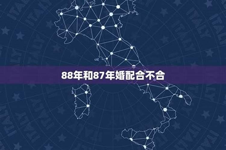 88年男的属龙87年女的属兔可以结婚吗？