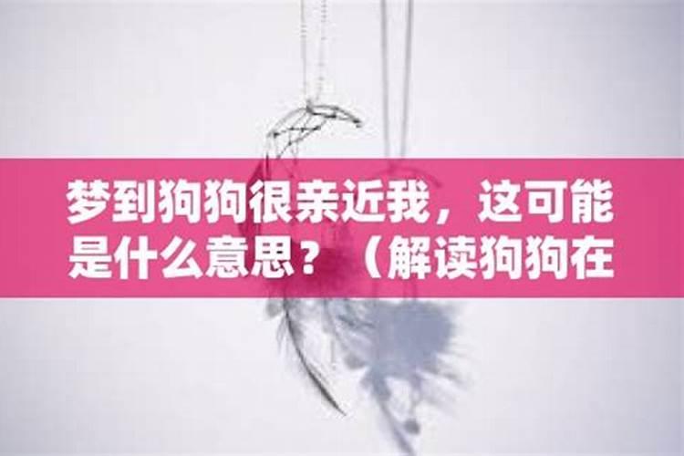 梦见狗狗对我特别亲热是什么意思 梦见狗狗对我特别亲热预兆什么