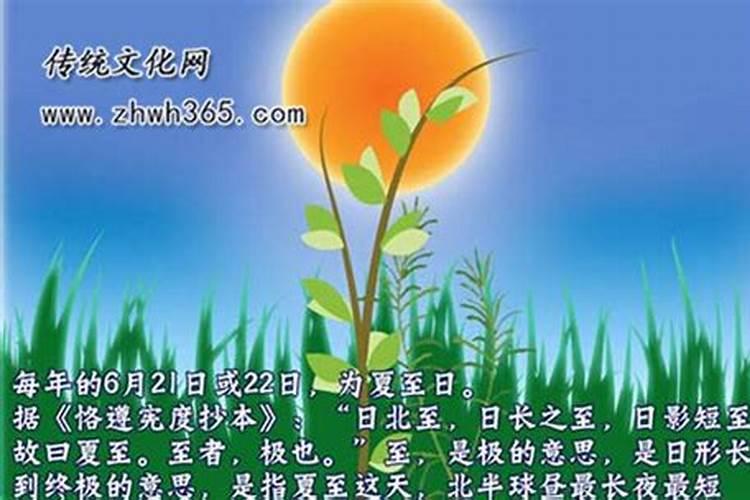 2025属猪几月有一难