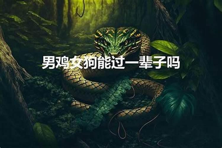 生辰合婚:属鸡的女人与属狗男合不合财 适合做夫妻吗