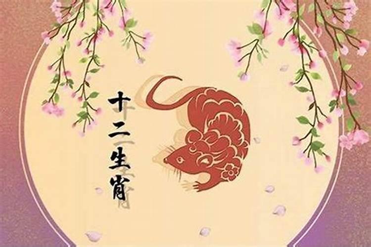 生肖鼠1984年2025年运势如何 生肖鼠1984年2025年全年运势