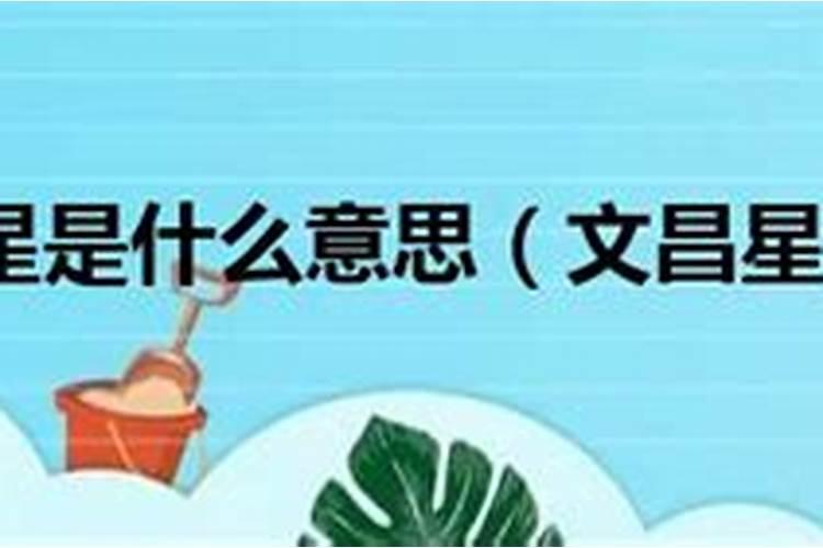 梦见捉住老鼠的预兆
