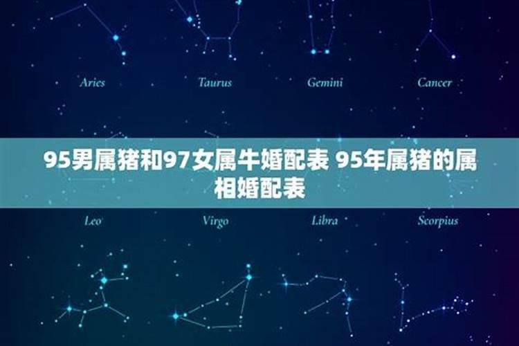 属虎几点出生最好