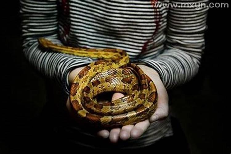 中元节可以扫墓吗 七月十五能上坟吗