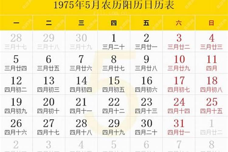 玉田白菜是什么