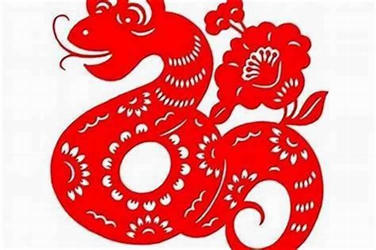 属蛇人今年的运势和命运