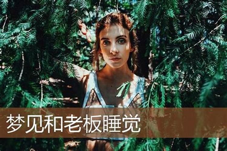 梦见和自己的老板睡觉的预兆