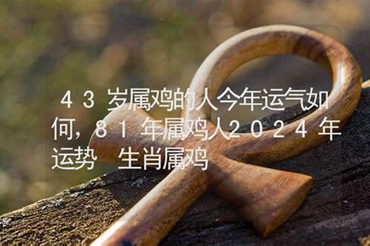 2025年农历五月初八宝宝命运