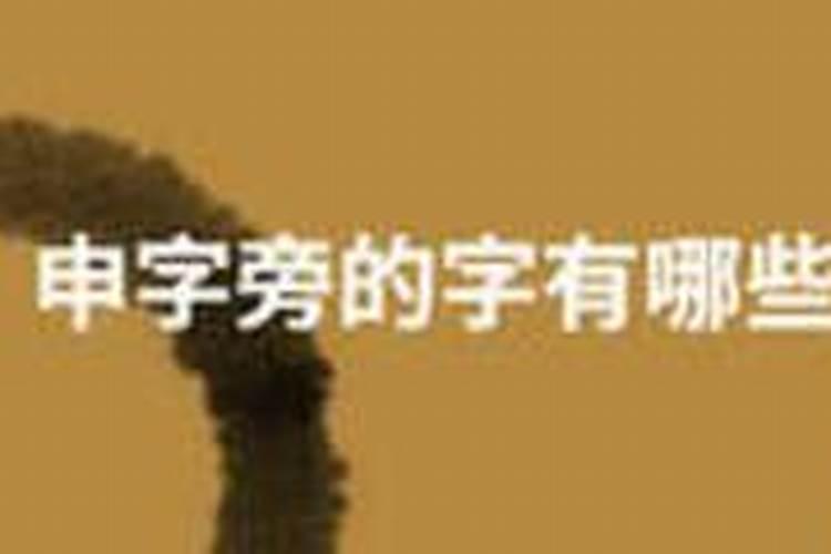 属猪的年份表及年龄