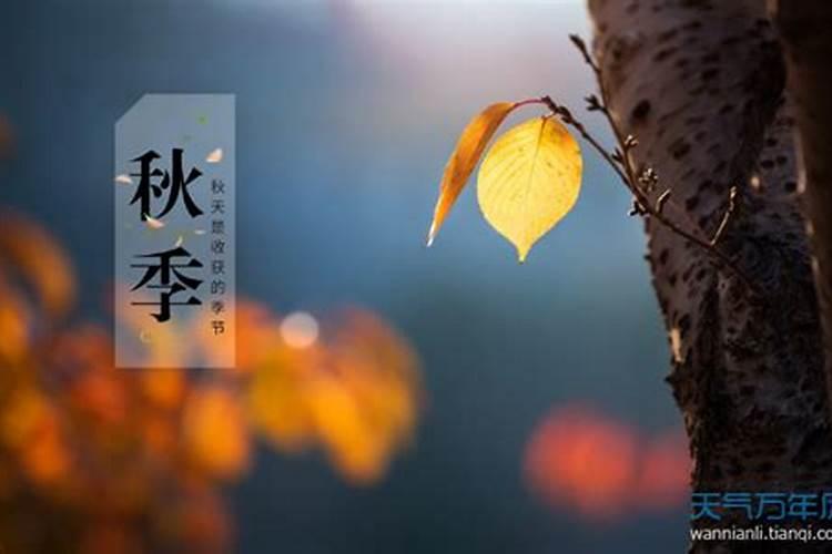 过年去越南旅游有什么要求,越南 春节旅游攻略
