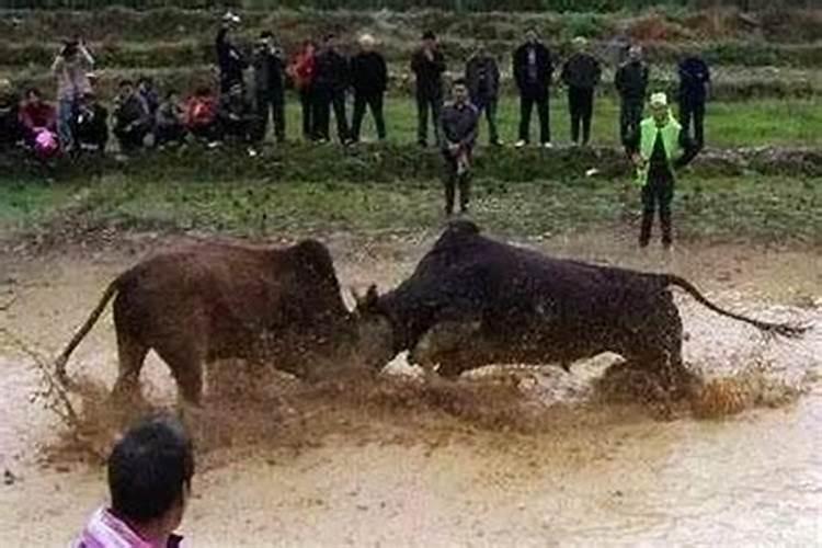 梦见死去的妈妈是什么意思梦见死去的妈妈是啥意思