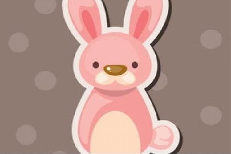 属兔的人今年利不利身体好么