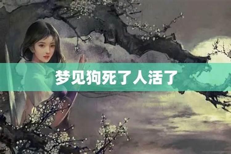 梦见狗被杀又活过来