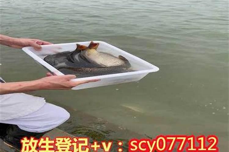 堕胎的危害,堕胎后如何还阴债？