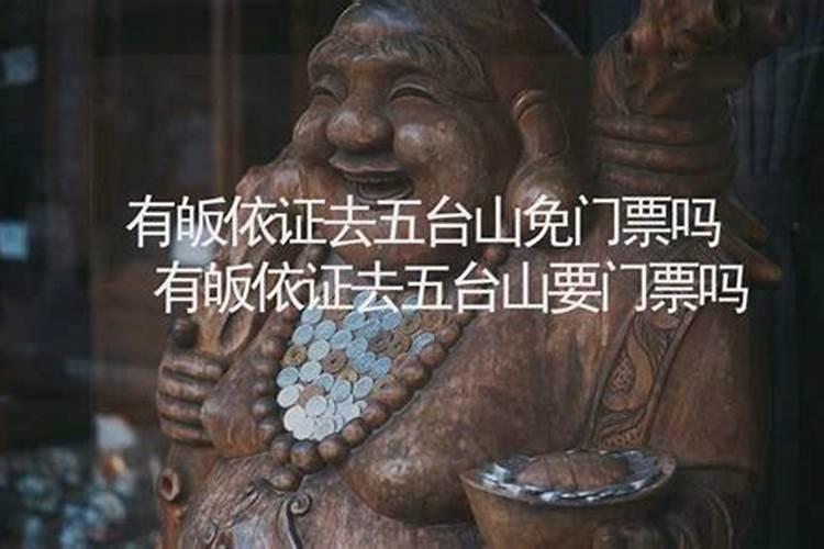 犯太岁去五台山化解灵吗,本命年去五台山请太岁