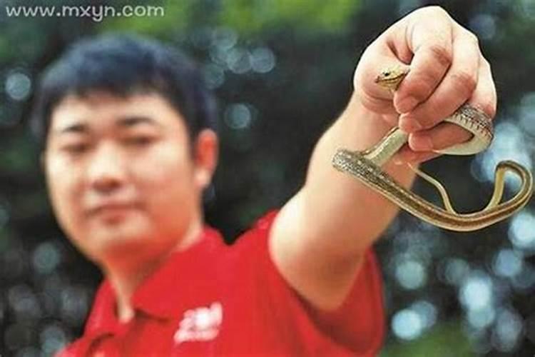2025年属蛇人的全年运势女性