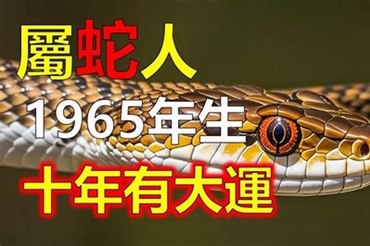 1965属蛇60岁怎么挡灾2024 65年属蛇人2025年运势
