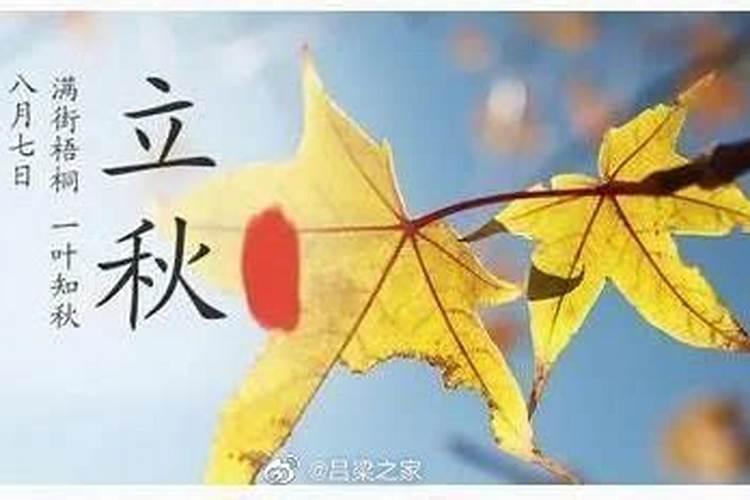 63年正月初五是阳历的几号？