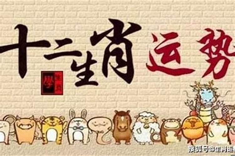 生肖属63年兔今日财运势
