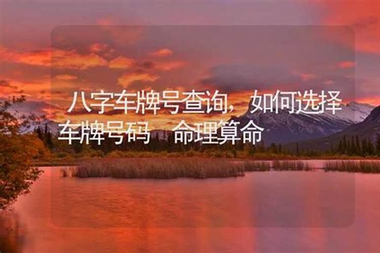 祸害数字怎么化解