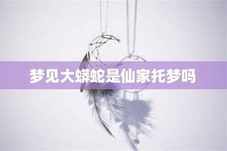 孕妇梦见蛇是生男生女 孕妇梦见蛇征兆是生男生女