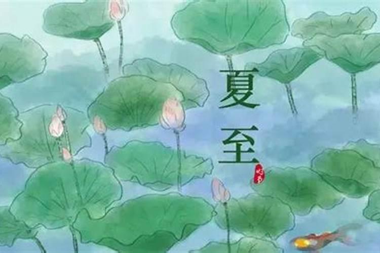 夏至应该注意什么 夏至前后需要怎么保养呢