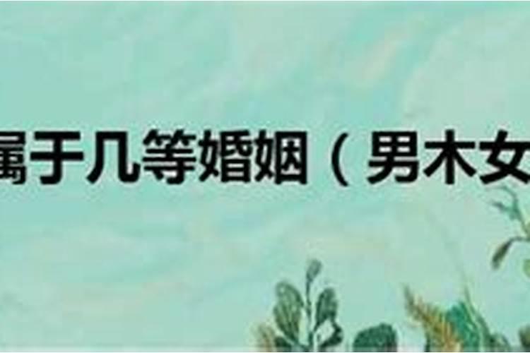 金木水火土五行婚配表