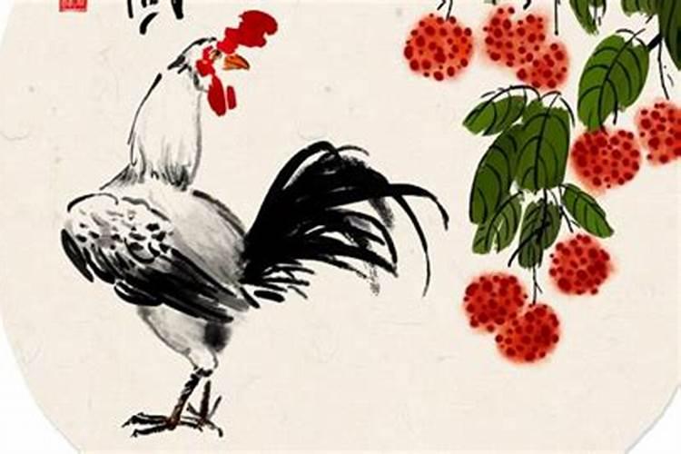属鸡人和属兔人在一起好不好 婚姻稍有波折注意稳固