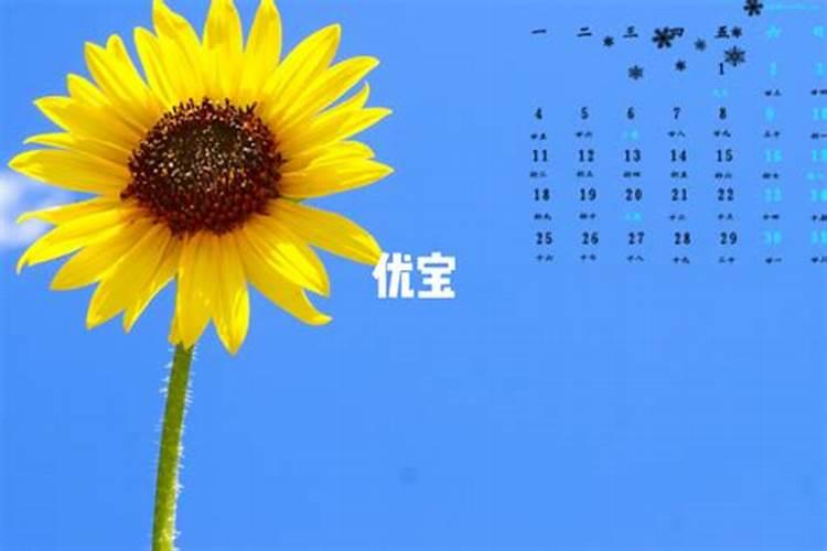 2025年十二生肖每月运势详解