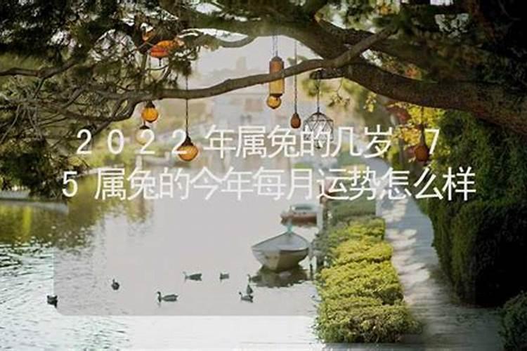 75年属兔人2024年每月运势
