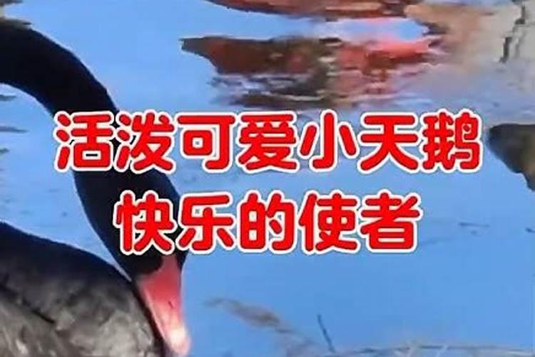 上海大年初五接财神烧香去哪里
